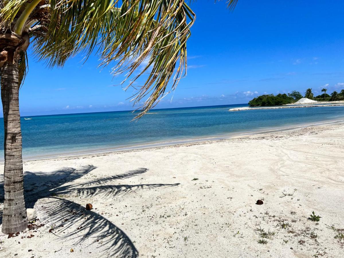 شقة Ocho Rios Ocean Escape Richmond المظهر الخارجي الصورة